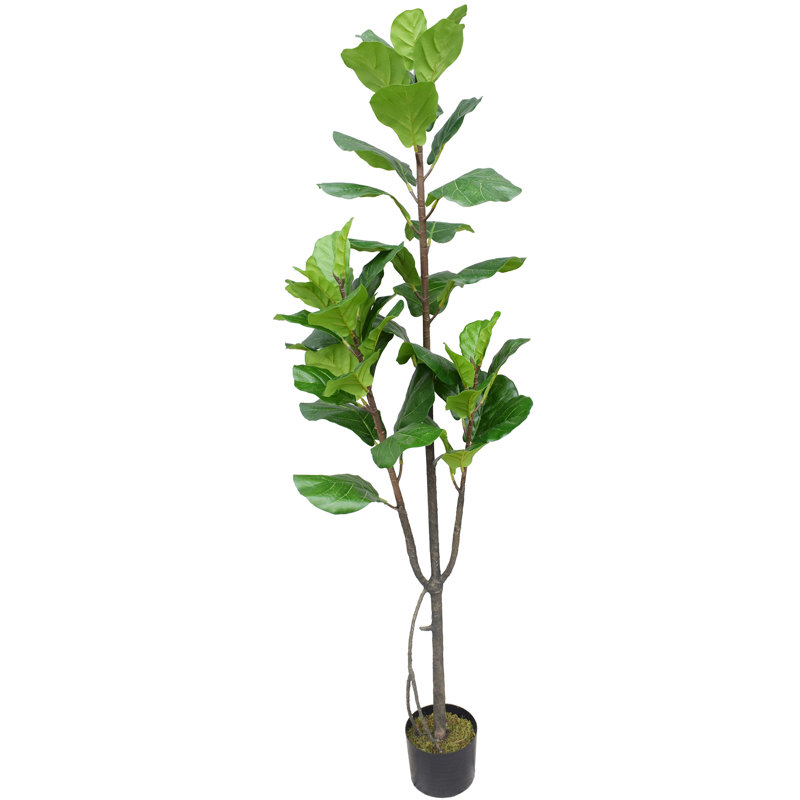 Gracie Oaks Real Touch Silk Fiddle Leaf Fig Tree in Pot & Reviews Wayfair
